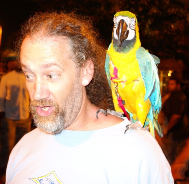 Guy with parrot